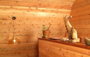 Interior Log Cabin Paneling2 300x190 